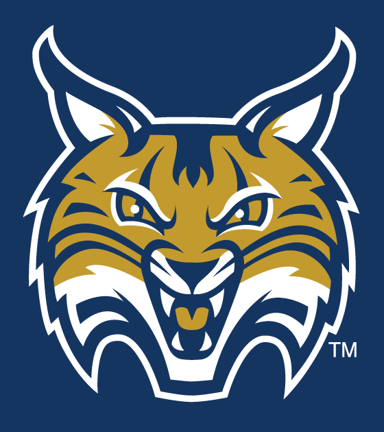 Quinnipiac Bobcats 2002-Pres Secondary Logo v3 diy DTF decal sticker